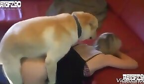 sexo de cachorro,animal fode garota